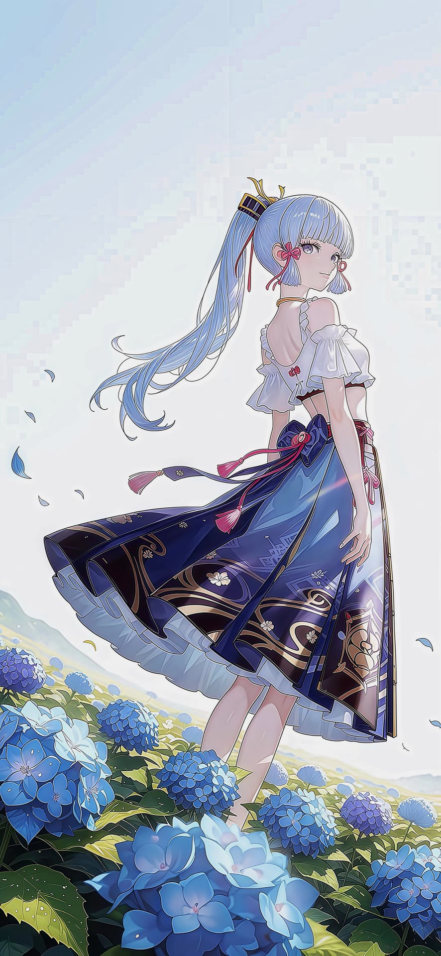 boxmoe_header_banner_img